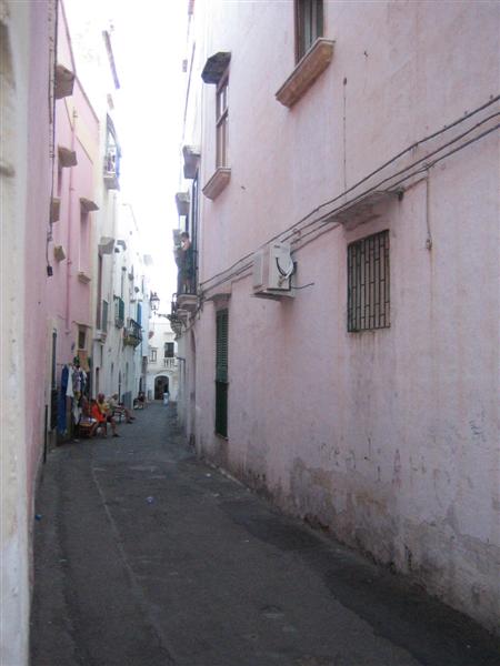Gallipoli 8262